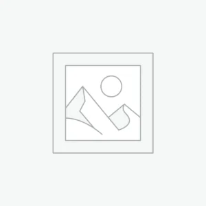 Premium Semi-New Car